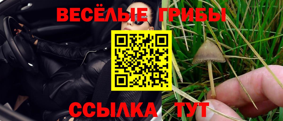Псилоцибиновые грибы прущие грибы  Вход с VPN  Орёл 