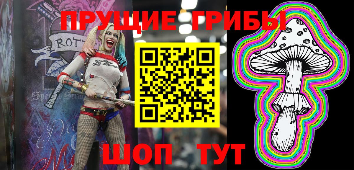 Псилоцибиновые грибы прущие грибы Орёл